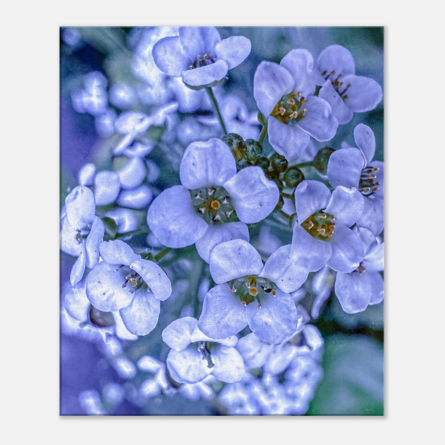 d37b1001-1f90-4d62-af32-99c74ca1a66c