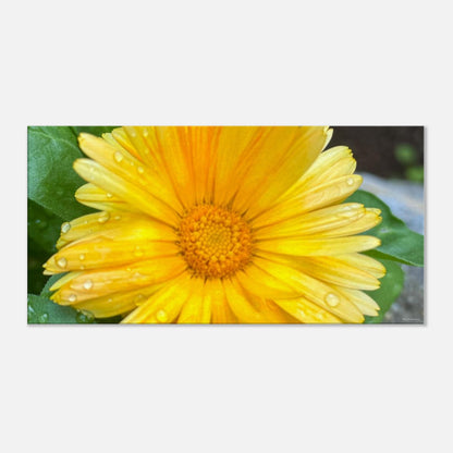 d38b9670-c8e3-444a-bc91-89318de97041