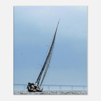 d3b8113c-7246-46ec-a259-bcd46258d1df