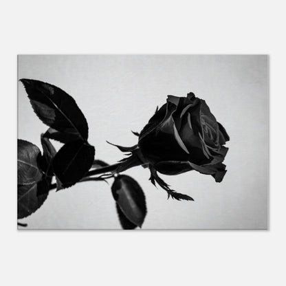 d3d71623-9997-4dbc-9651-4d6369eccca4