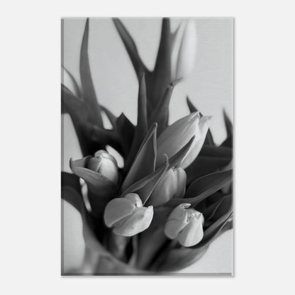 d3eb711d-2489-4bc0-bee5-03b0c3c19474