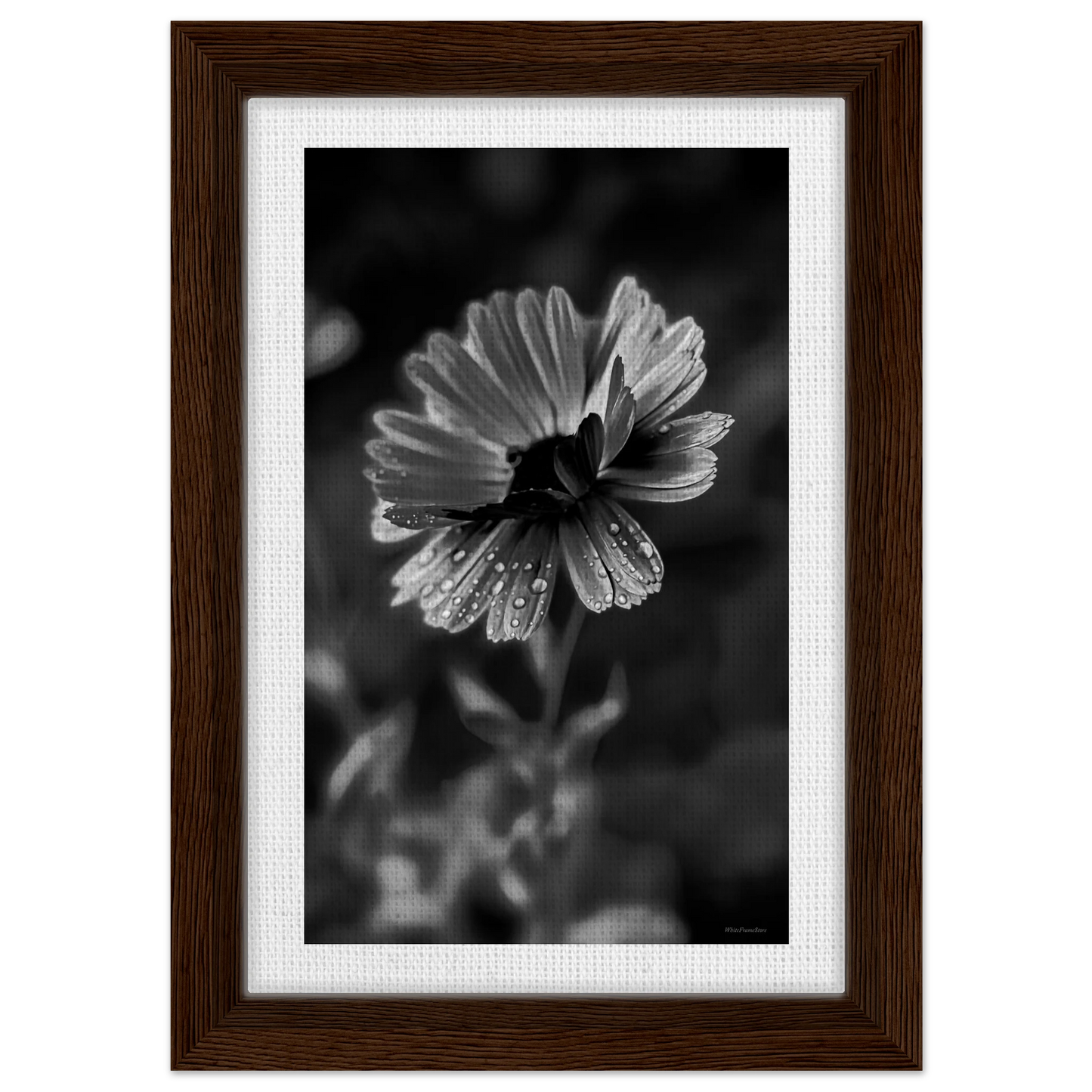 d3eee4bf-3355-405a-b646-714a3e6d1548