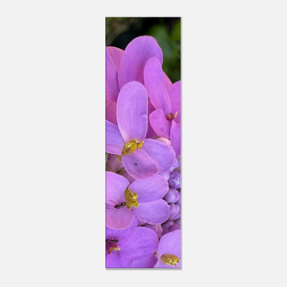 d3f6a037-bc1e-4adb-9e14-e6e580e305a6