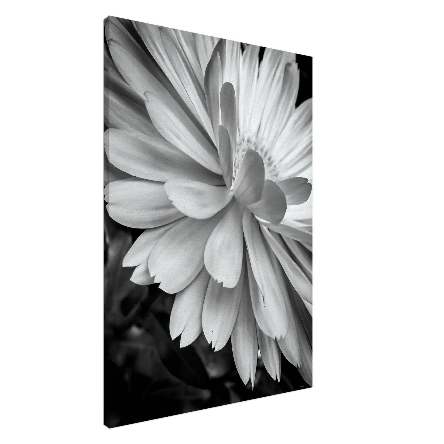 d42fd0d0-a170-42e5-8749-d753343d509b