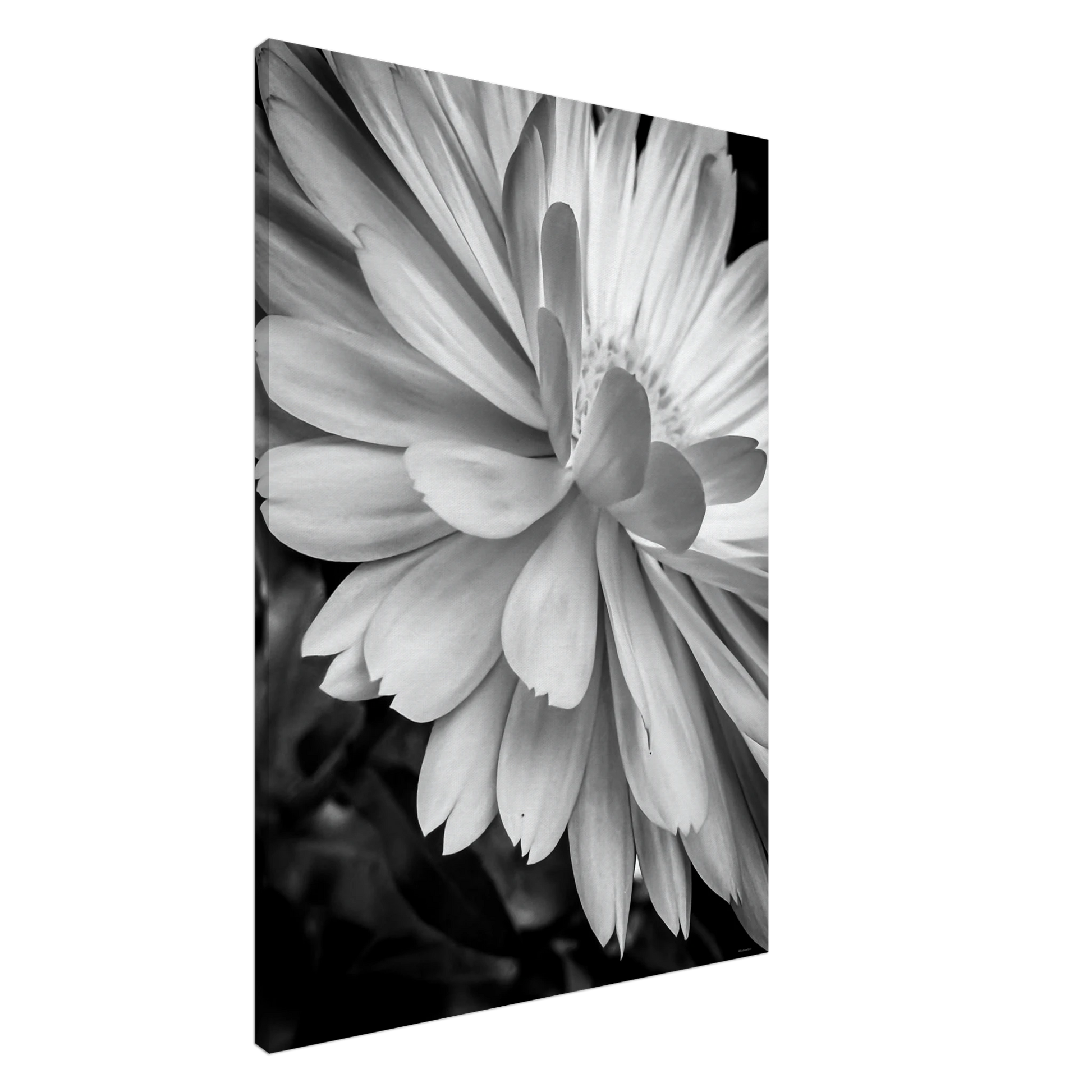 d42fd0d0-a170-42e5-8749-d753343d509b