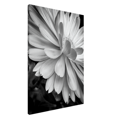 d42fd0d0-a170-42e5-8749-d753343d509b