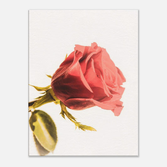 d43591e5-a49b-45a9-8f30-bbeebde96a7c