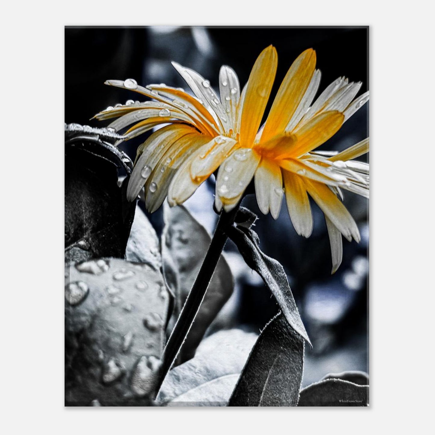 d44772f5-28ee-43a2-a4fc-4a5a3ce696e8