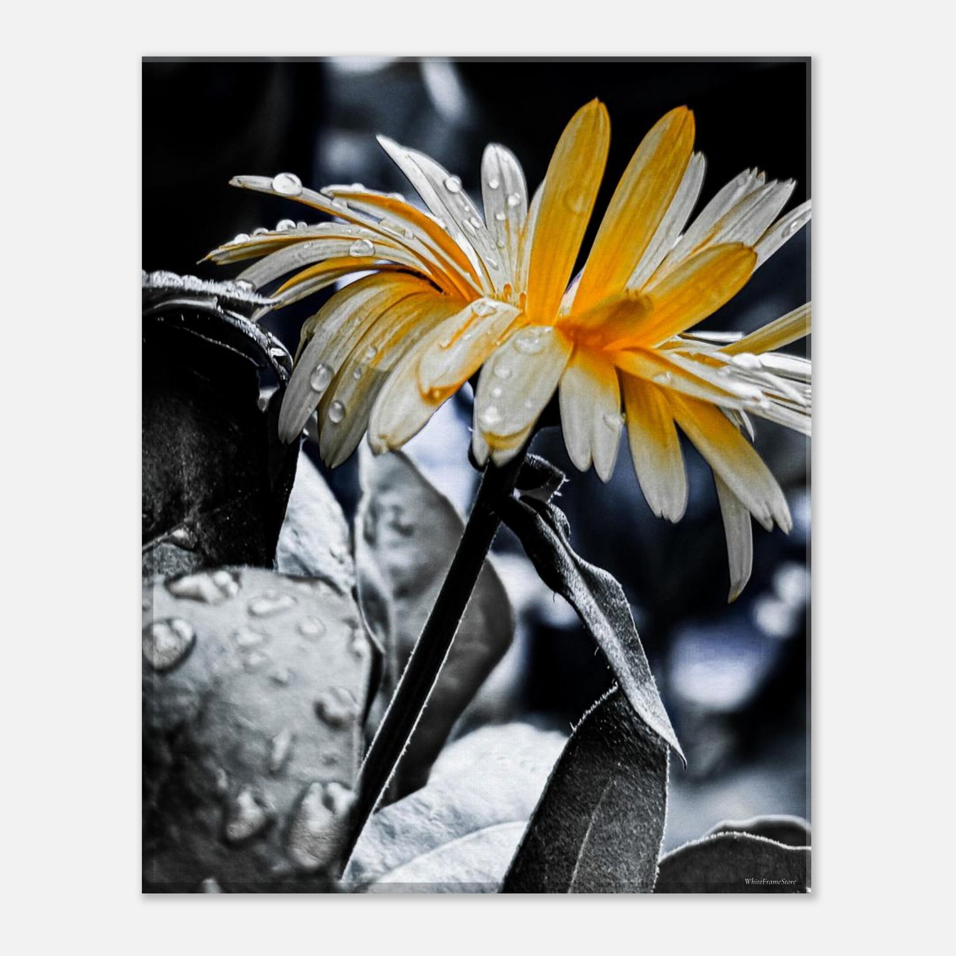 d44772f5-28ee-43a2-a4fc-4a5a3ce696e8