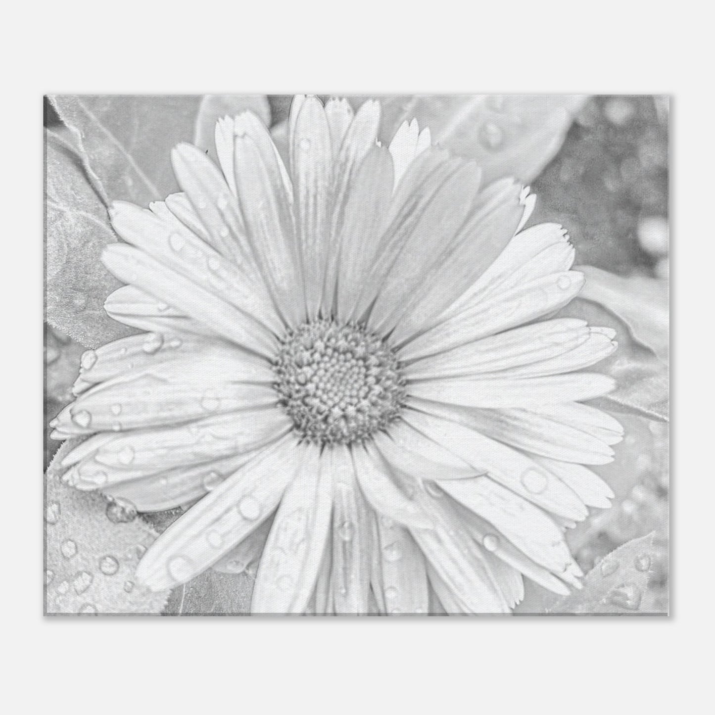 d449688f-2f42-4b15-86de-90bf75564dd3