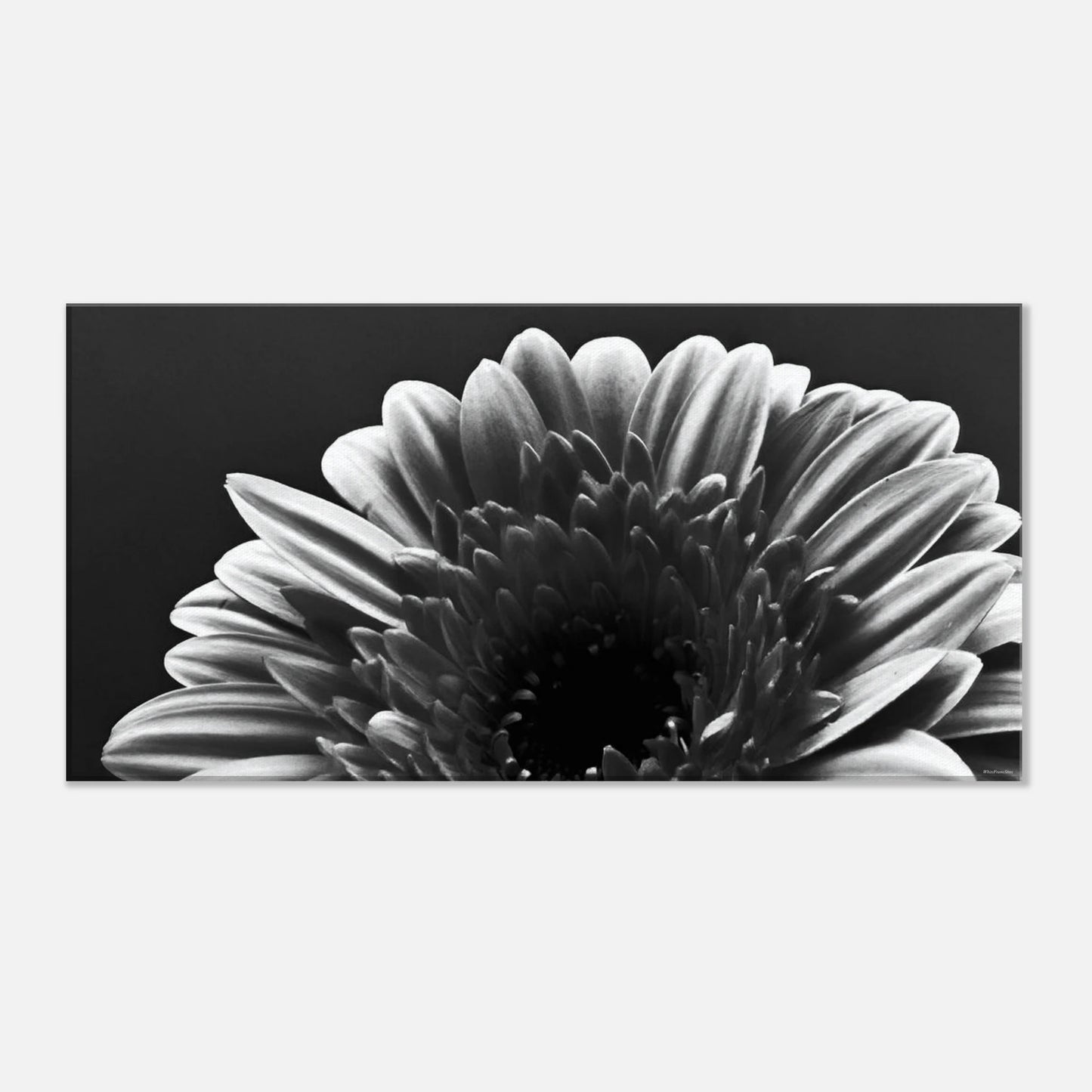 d46882f7-d197-45fa-be12-335e5888e9fe