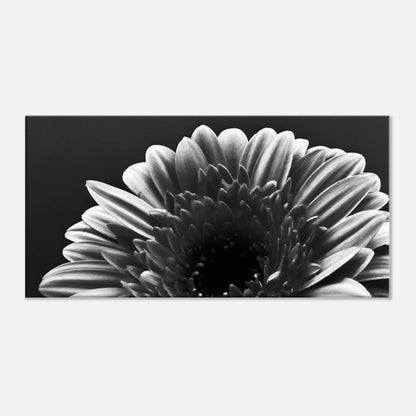 d46882f7-d197-45fa-be12-335e5888e9fe