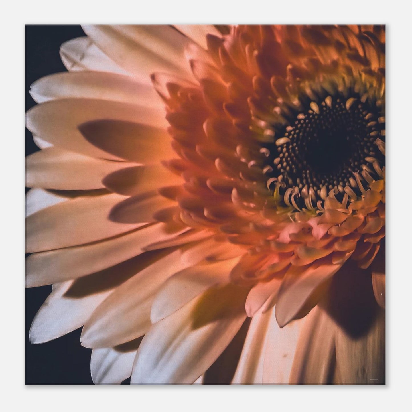 d48931d0-e6f0-47fc-aef4-b1fdd2de8653