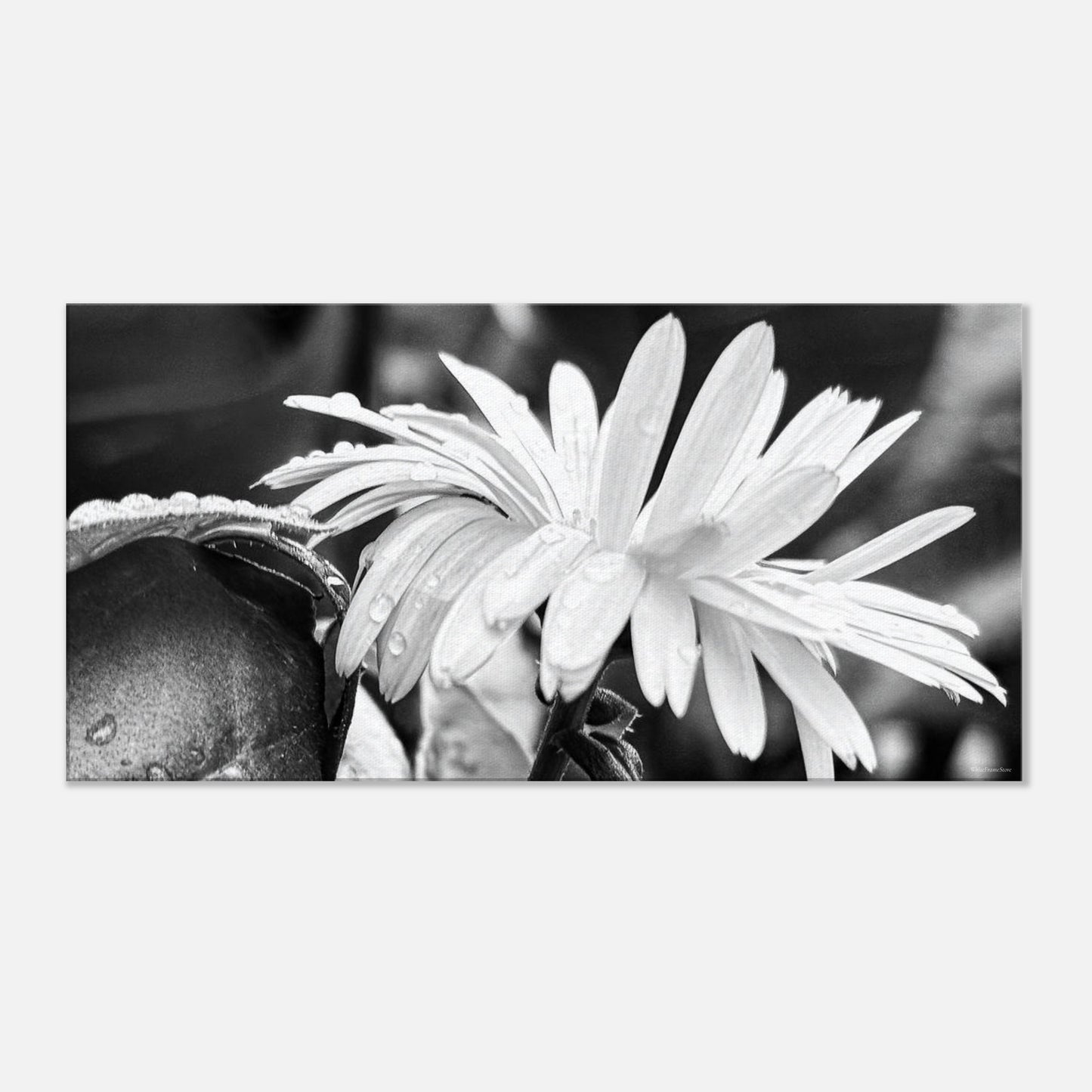 d4a96517-9e8c-4acf-a838-dbfa75011ab3