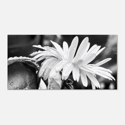 d4a96517-9e8c-4acf-a838-dbfa75011ab3