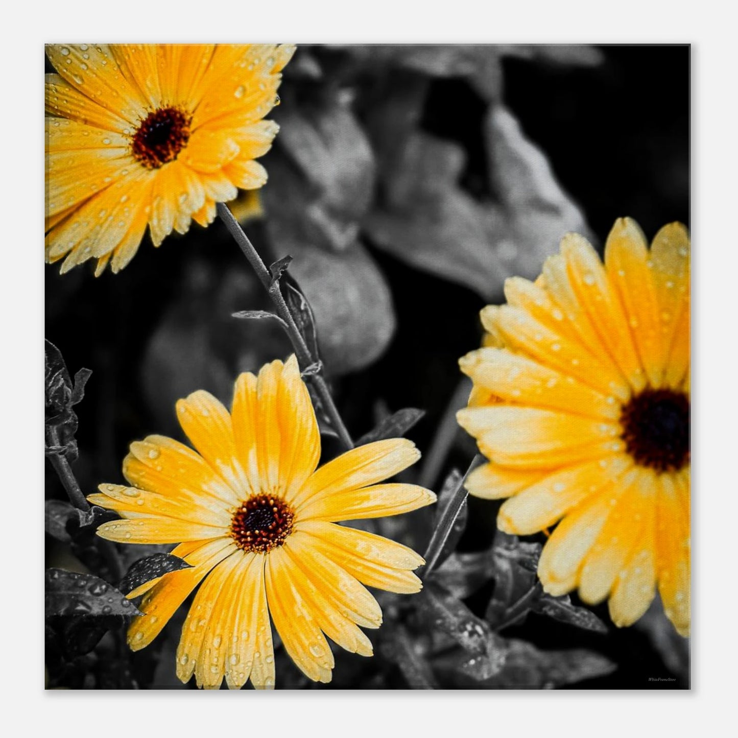 d4df601b-ff45-4e2f-9fa9-4947420458ac