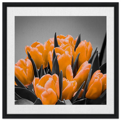 d5186646-a472-4446-9f82-a24914b03e8a