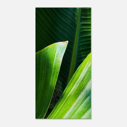 d5246cc6-418b-4e40-8357-56fce8f2227e