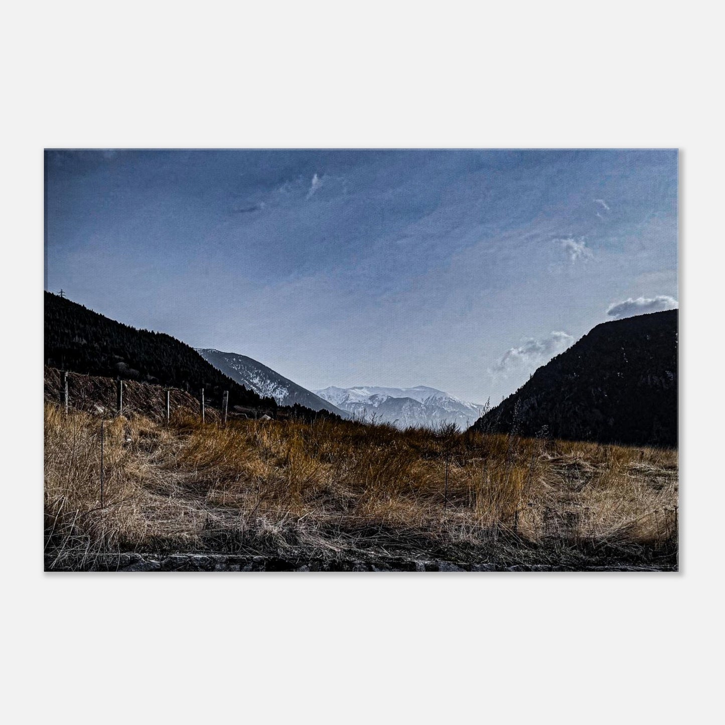 d55c161f-ad5a-4c61-bb33-49c906be4b04