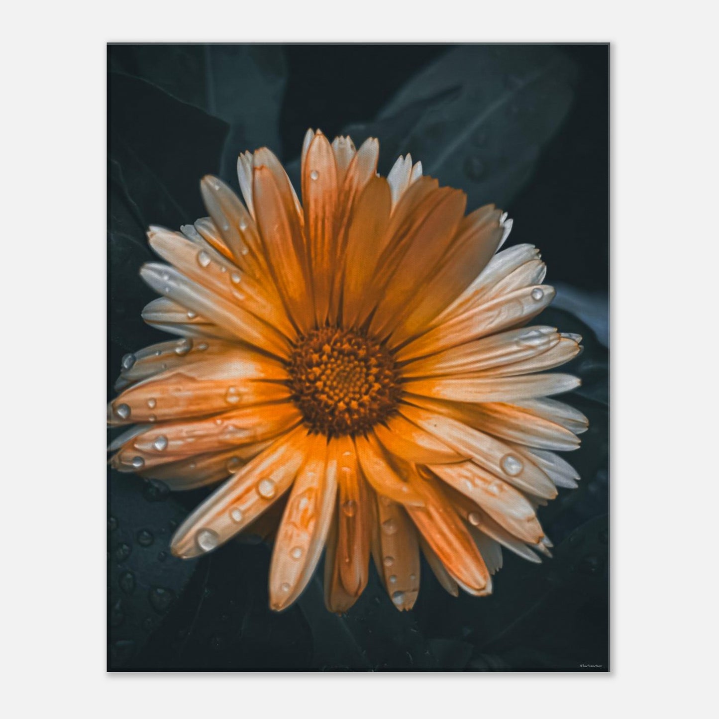 d56a3bf9-f9be-4c01-ba66-1c7364c7734a