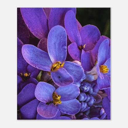 d58fe6b1-5157-4642-9978-4d85c50aa43a