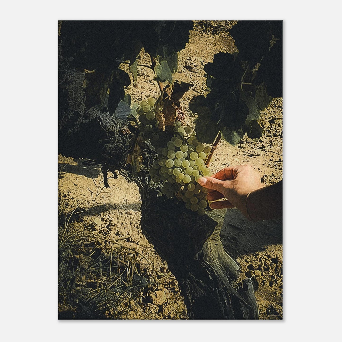 d5997bb0-1724-44b2-aa7c-a0738c50b08a