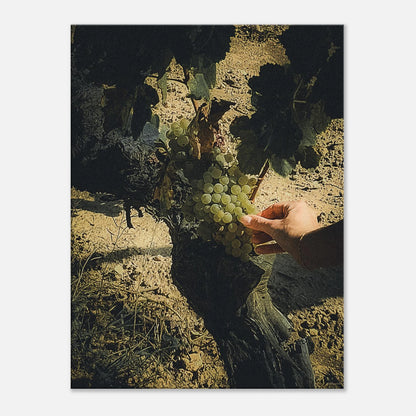 d5997bb0-1724-44b2-aa7c-a0738c50b08a