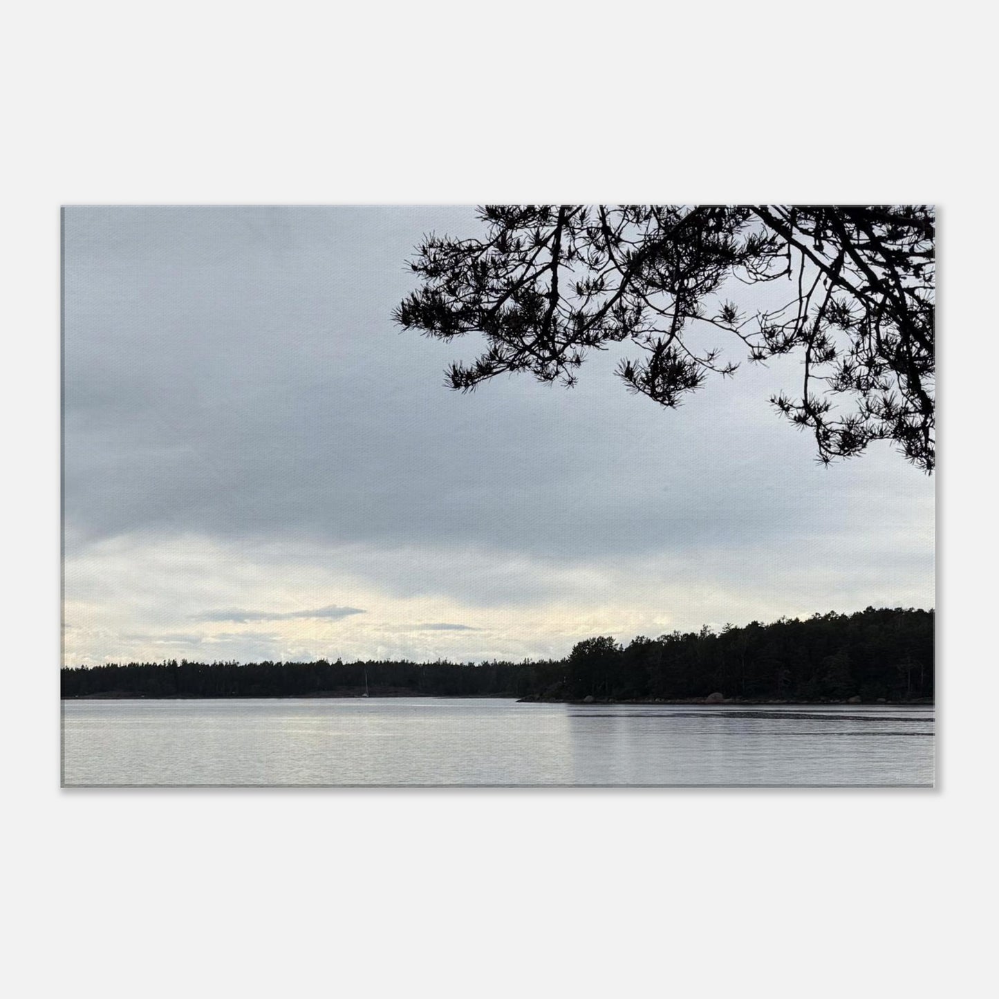 d5c27d49-91b8-40bb-bcf0-c00cb45b2494