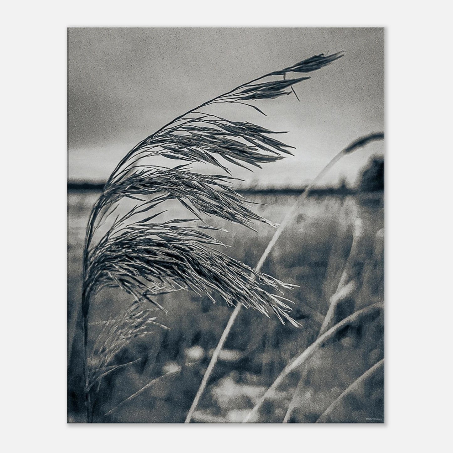 d5c9635e-5632-408c-ad54-4785ed7ecd14