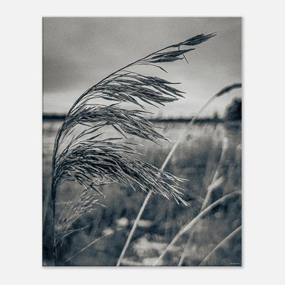 d5c9635e-5632-408c-ad54-4785ed7ecd14