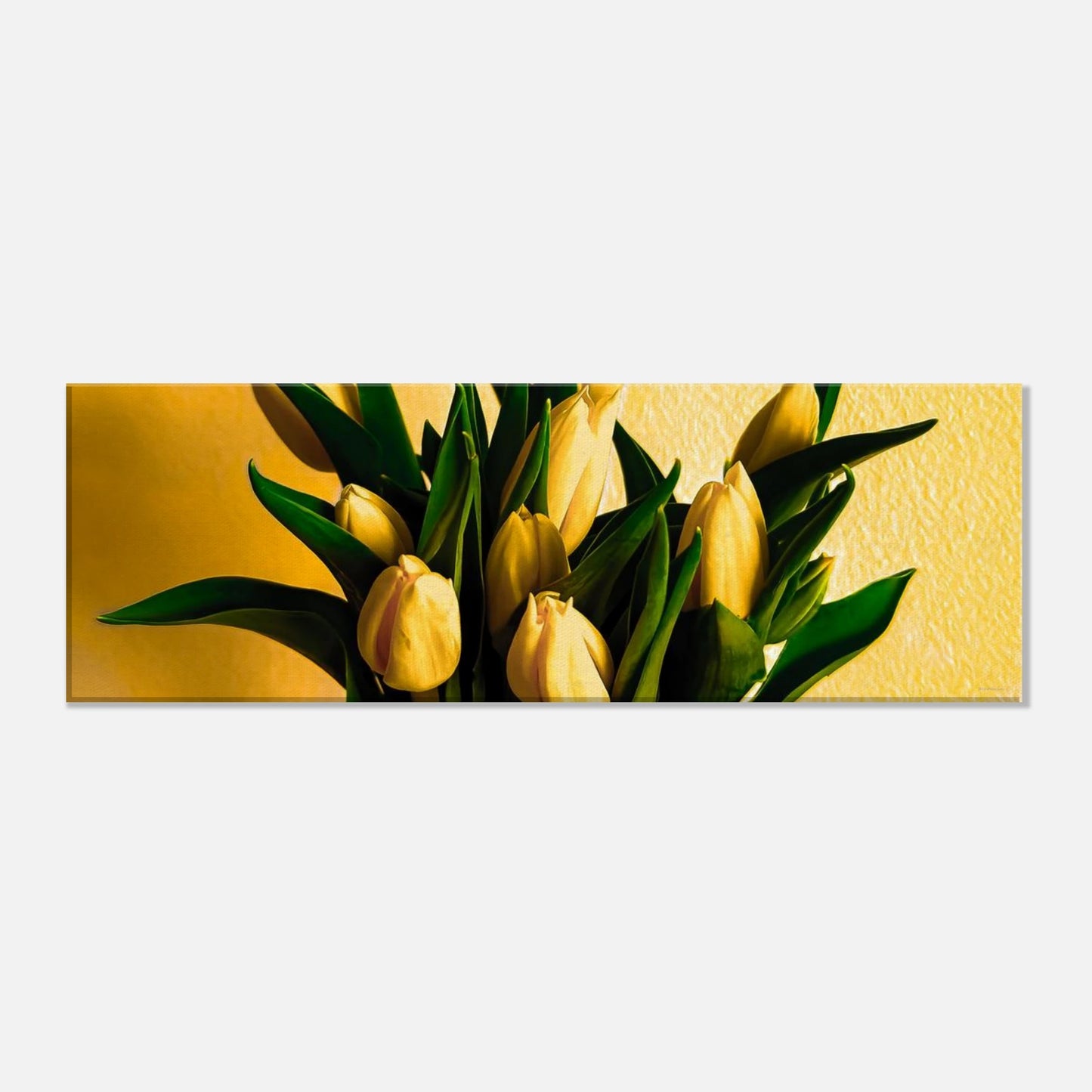 d5e75fed-71f2-4478-9d96-056a210bd659