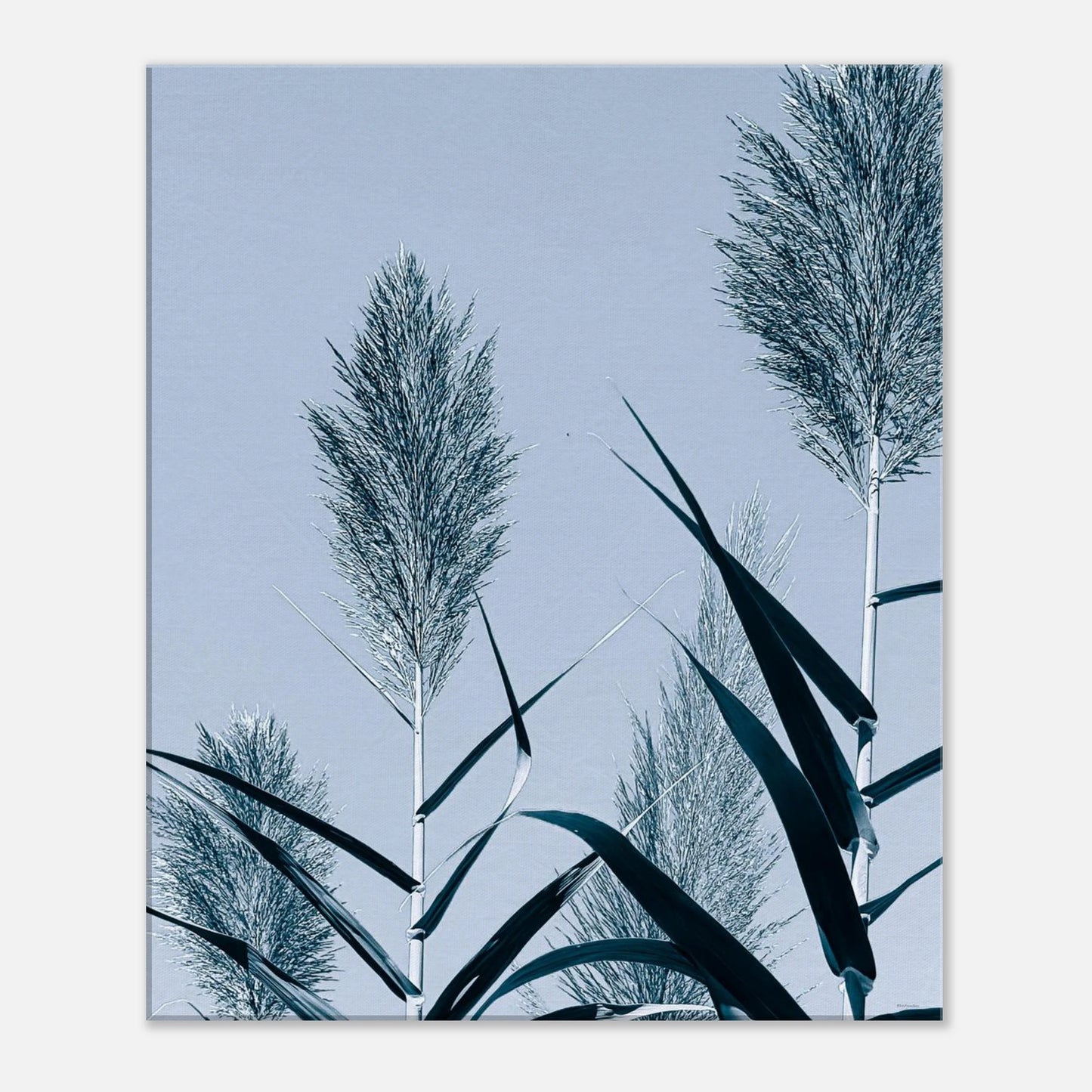 d5f48482-65fa-46f6-a1f8-d666612dbc88