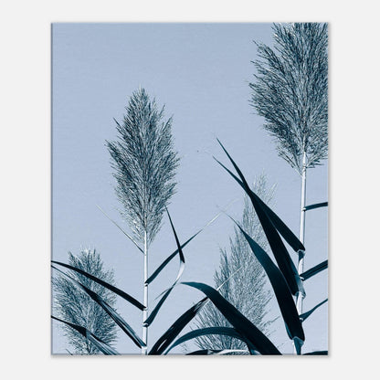 d5f48482-65fa-46f6-a1f8-d666612dbc88