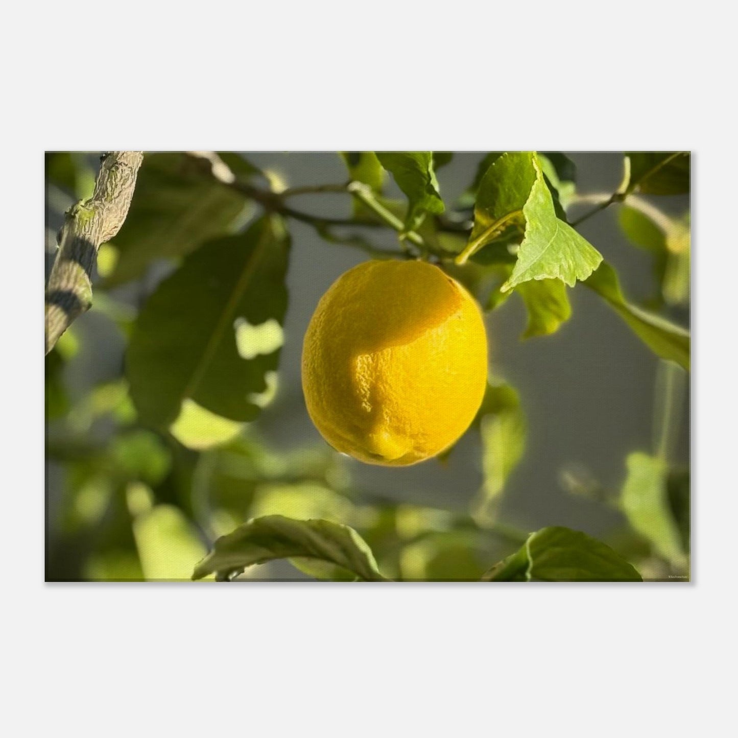 d5f72571-f2f7-48f4-b1f7-b92aebf51ea3