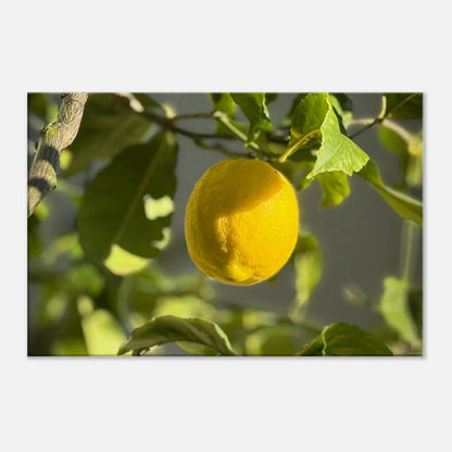 d5f72571-f2f7-48f4-b1f7-b92aebf51ea3