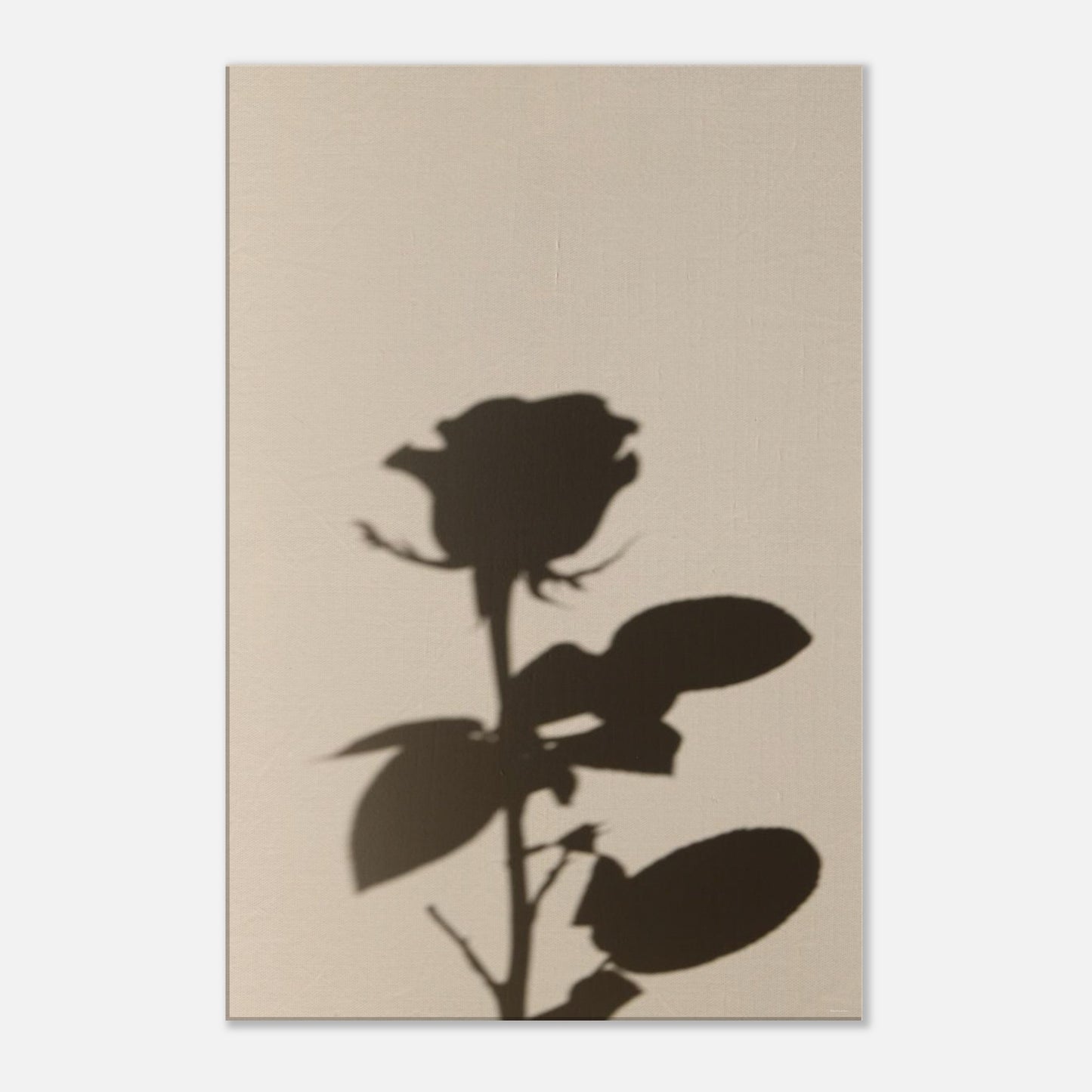 d6aa382c-ee32-4aa8-a4b4-a572641c7404