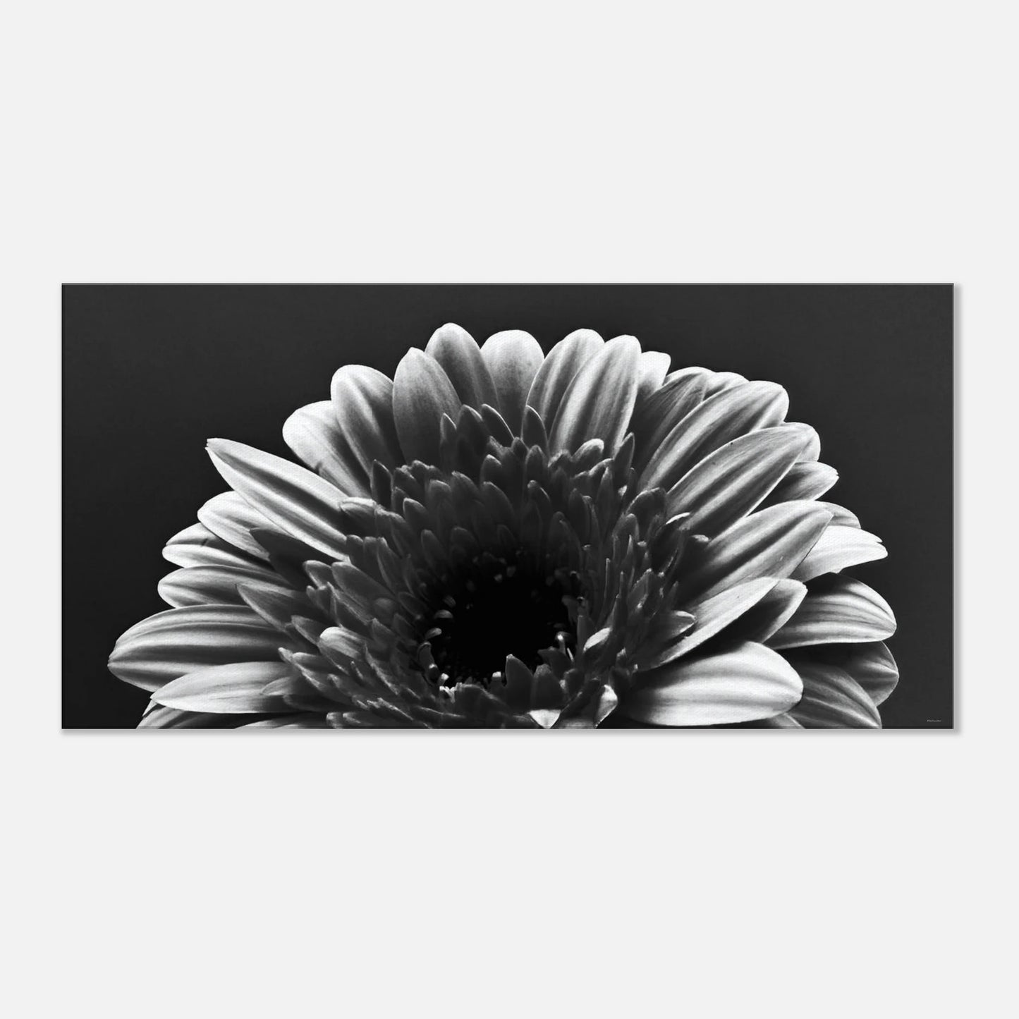 d6bfb076-8f11-40ba-a0a4-59552478c19d