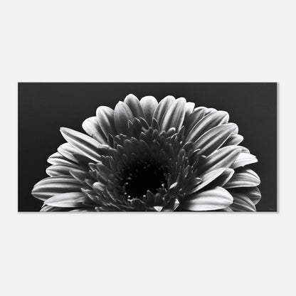 d6bfb076-8f11-40ba-a0a4-59552478c19d