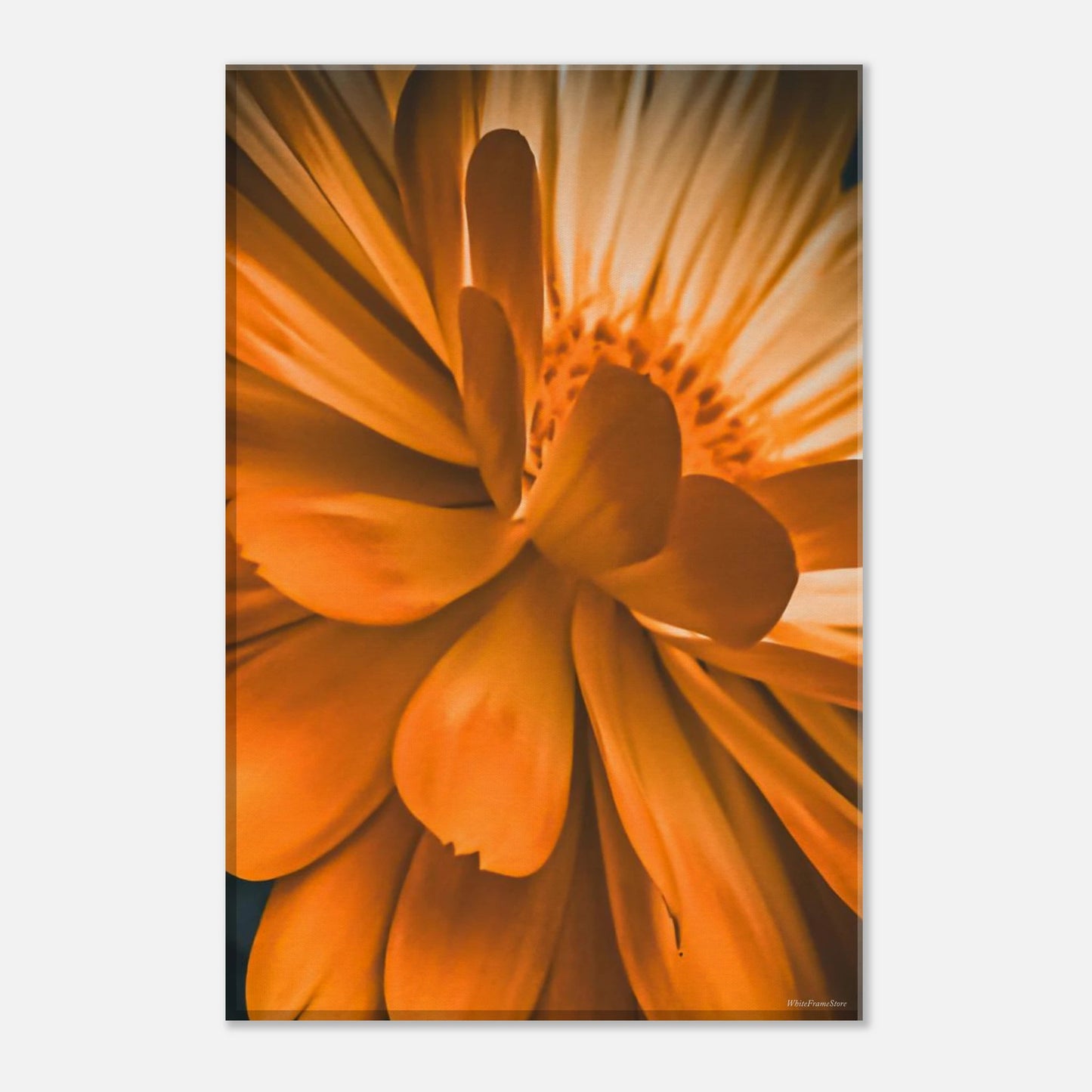 d6cdd03a-76a8-4cfe-b34c-532ce58afaef