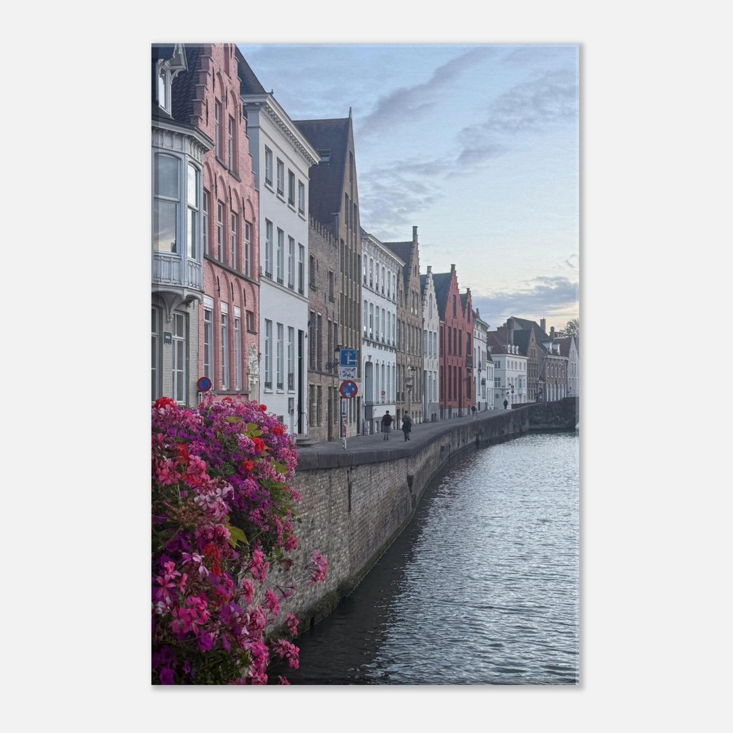 d6e65595-ba3c-440e-8358-53e4a03ea377