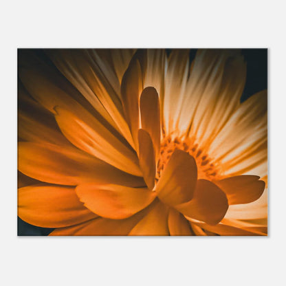 d71c9797-9bb5-4448-8b41-fda907854069