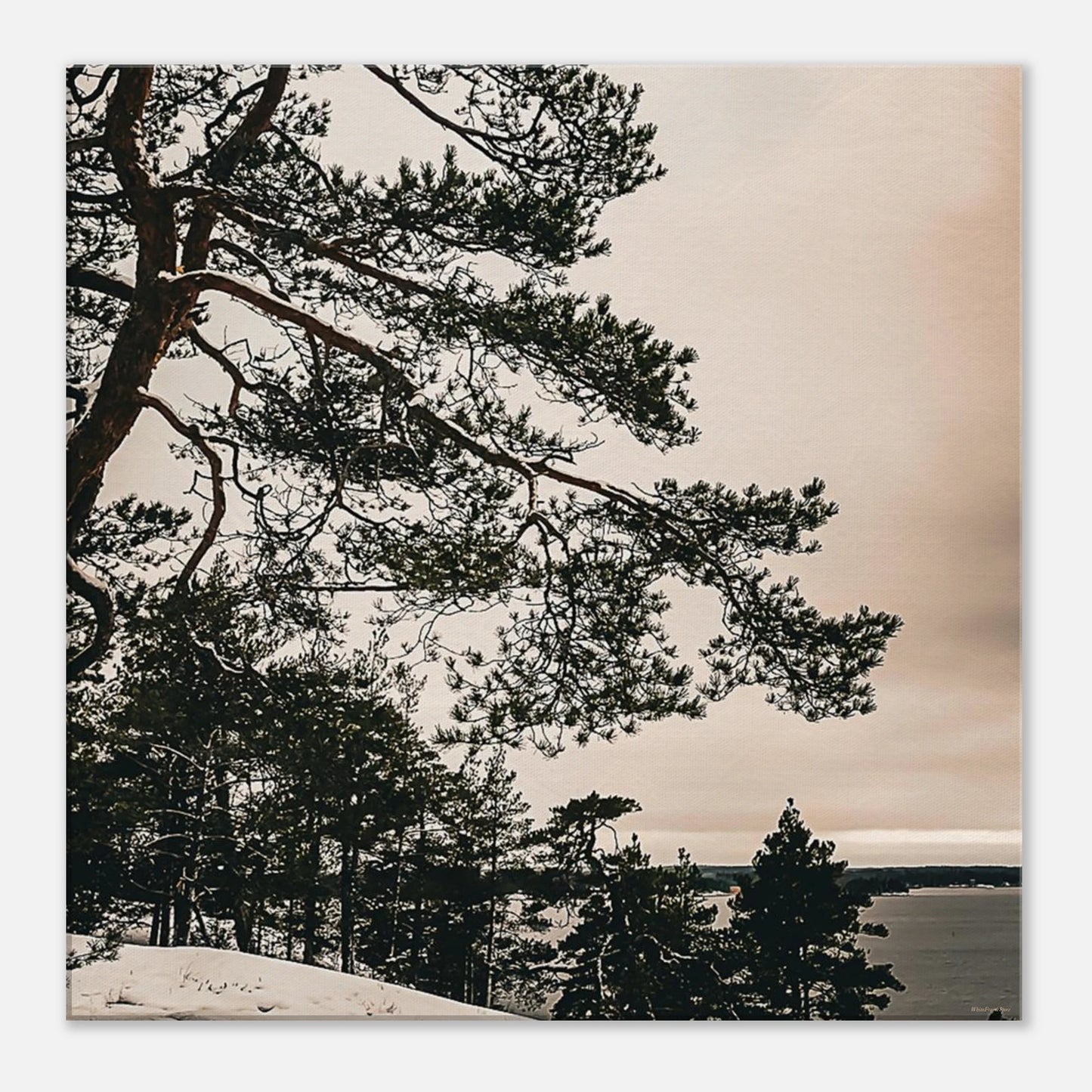 d7348026-45e9-4570-af1e-0b3bcbd836dd