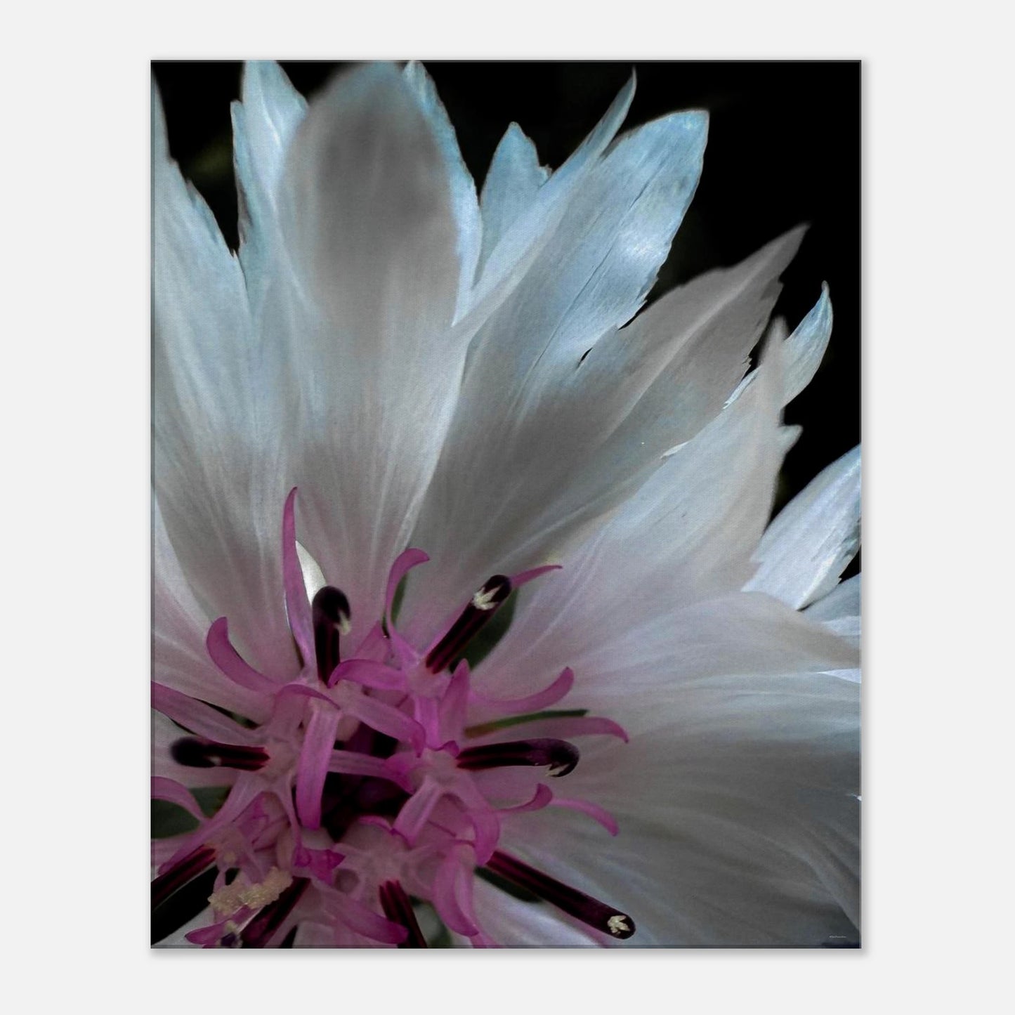 d736d84c-51c3-4c2f-8b98-77be7f64e595