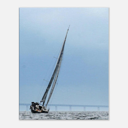 d74bdd20-0d04-48ac-aa49-c2da071c6b04