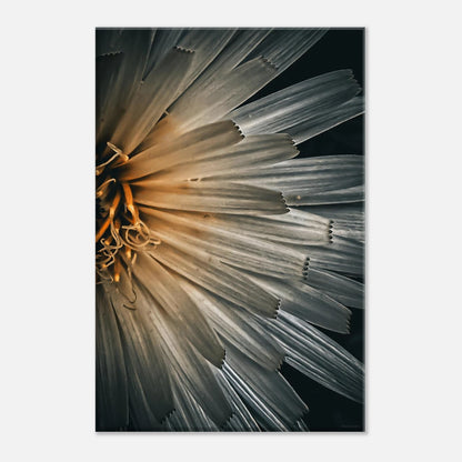 d7710c37-8a48-4a17-9766-01663a109bbd