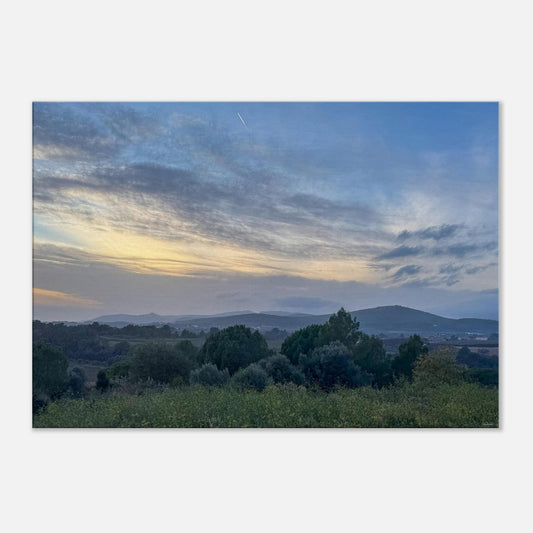 d7747657-fc9f-4aba-898e-413645edefa6