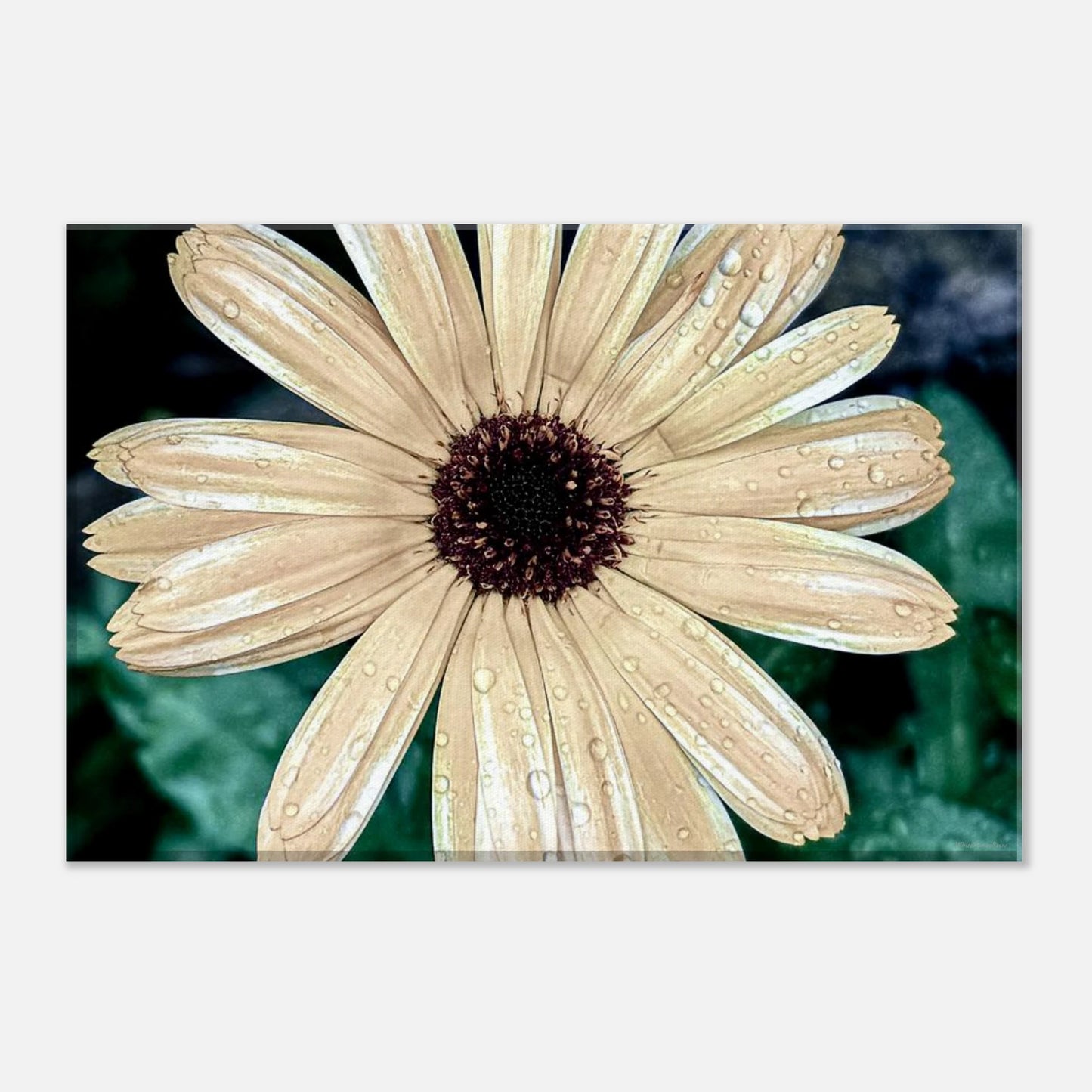 d7c0b778-bdaa-441d-98d8-9b2072d80f2d