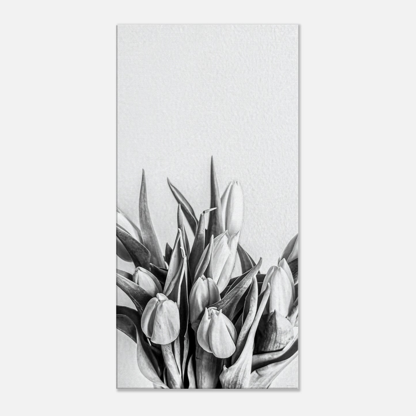 d7cda4c2-6695-4716-93b9-16b6ab86b22c