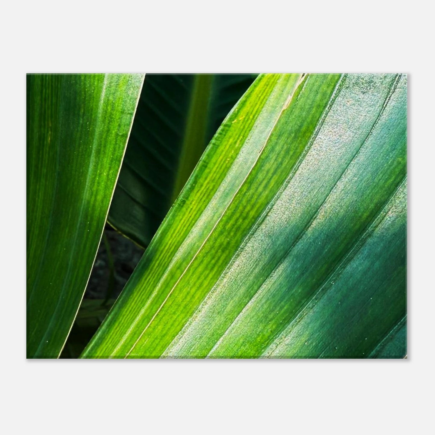 d7d838e9-bdd6-4a86-8abf-de0f0a66ea59