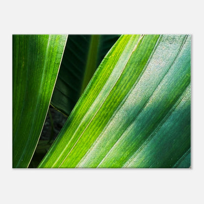 d7d838e9-bdd6-4a86-8abf-de0f0a66ea59